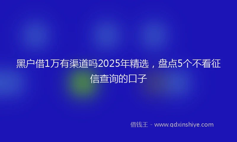 黑户借1万有渠道吗2025年精选，盘点5个不看征信查询的口子