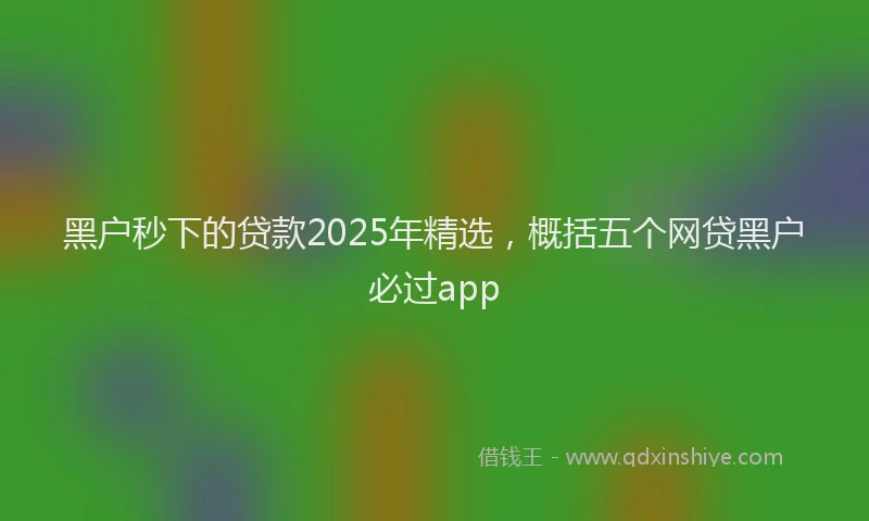 黑户秒下的贷款2025年精选，概括五个网贷黑户必过app