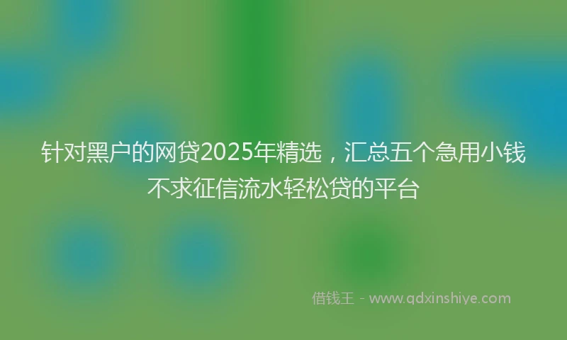 针对黑户的网贷2025年精选，汇总五个急用小钱不求征信流水轻松贷的平台