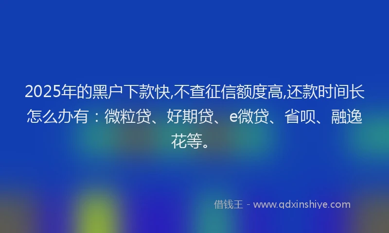 2025年的黑户下款快,不查征信额度高,还款时间长怎么办有：微粒贷、好期贷、e微贷、省呗、融逸花等。
