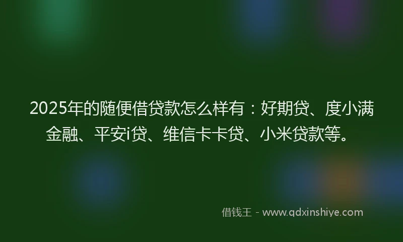 2025年的随便借贷款怎么样有：好期贷、度小满金融、平安i贷、维信卡卡贷、小米贷款等。