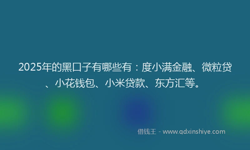 2025年的黑口子有哪些有：度小满金融、微粒贷、小花钱包、小米贷款、东方汇等。