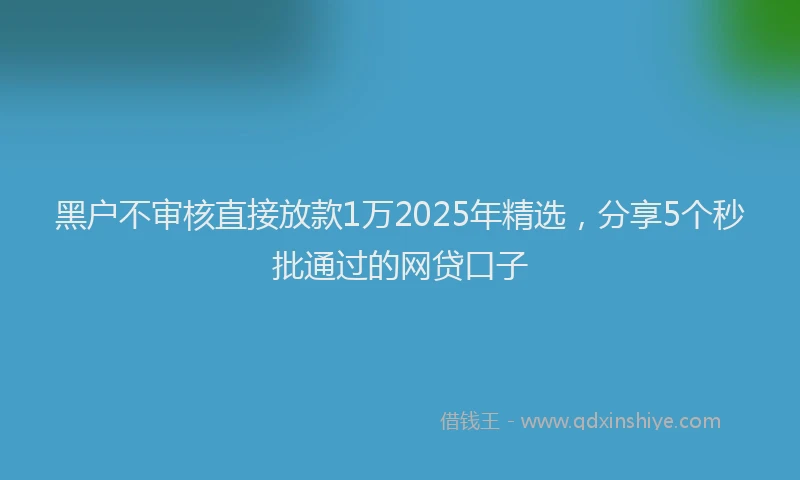 黑户不审核直接放款1万2025年精选，分享5个秒批通过的网贷口子