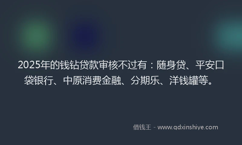 2025年的钱钻贷款审核不过有：随身贷、平安口袋银行、中原消费金融、分期乐、洋钱罐等。