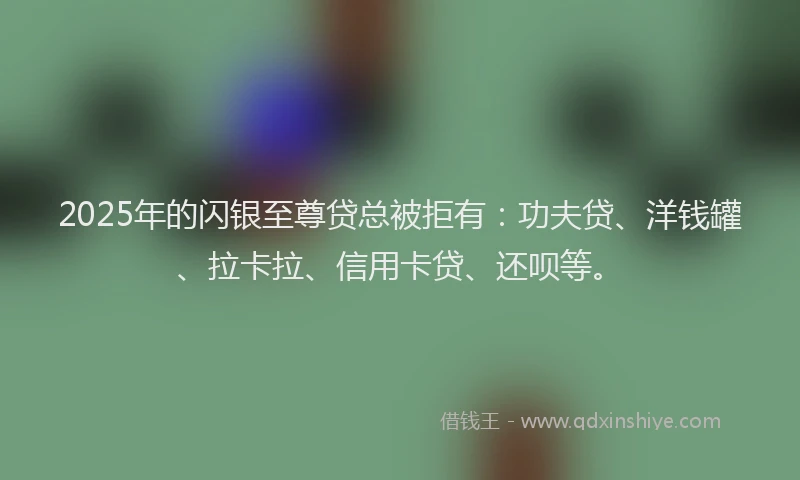2025年的闪银至尊贷总被拒有：功夫贷、洋钱罐、拉卡拉、信用卡贷、还呗等。