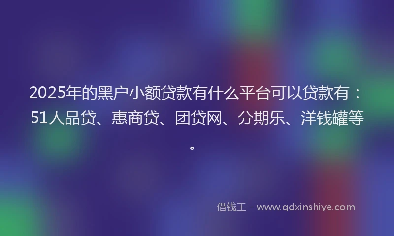 2025年的黑户小额贷款有什么平台可以贷款有：51人品贷、惠商贷、团贷网、分期乐、洋钱罐等。