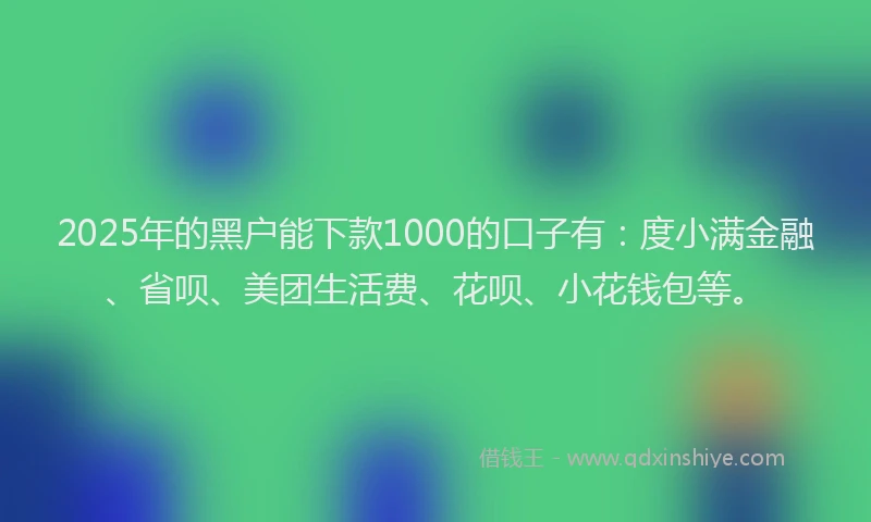 2025年的黑户能下款1000的口子有：度小满金融、省呗、美团生活费、花呗、小花钱包等。