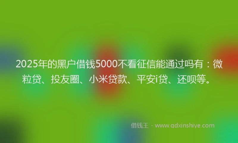 2025年的黑户借钱5000不看征信能通过吗有：微粒贷、投友圈、小米贷款、平安i贷、还呗等。