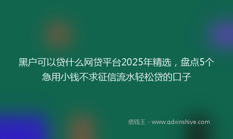 黑户可以贷什么网贷平台2025年精选，盘点5个急用小钱不求征信流水轻松贷的口子