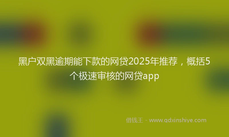 黑户双黑逾期能下款的网贷2025年推荐，概括5个极速审核的网贷app