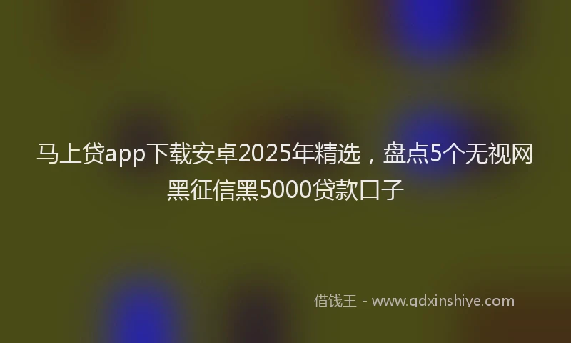 马上贷app下载安卓2025年精选，盘点5个无视网黑征信黑5000贷款口子