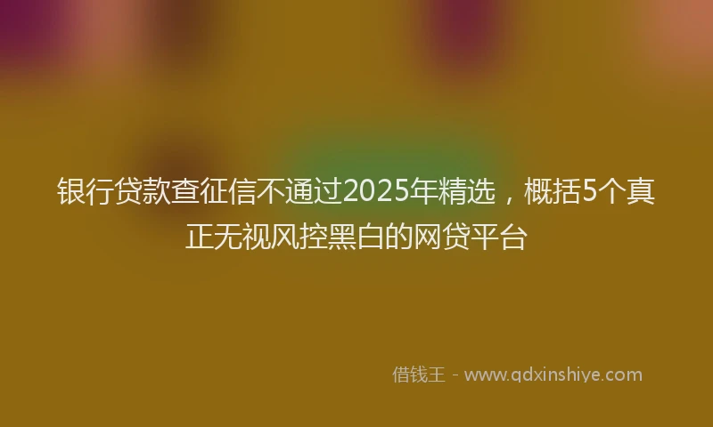 银行贷款查征信不通过2025年精选，概括5个真正无视风控黑白的网贷平台