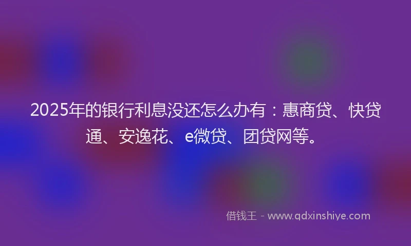 2025年的银行利息没还怎么办有：惠商贷、快贷通、安逸花、e微贷、团贷网等。