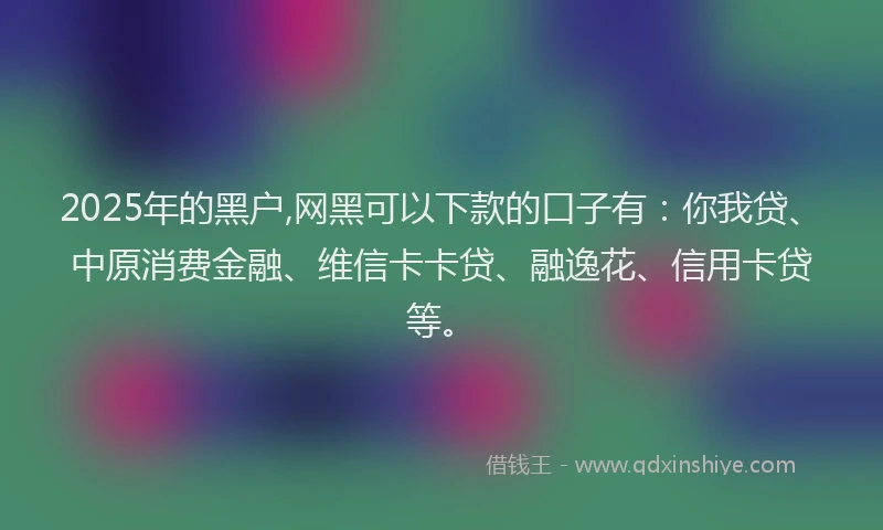 2025年的黑户,网黑可以下款的口子有：你我贷、中原消费金融、维信卡卡贷、融逸花、信用卡贷等。