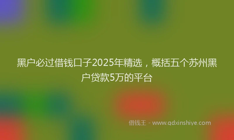 黑户必过借钱口子2025年精选，概括五个苏州黑户贷款5万的平台