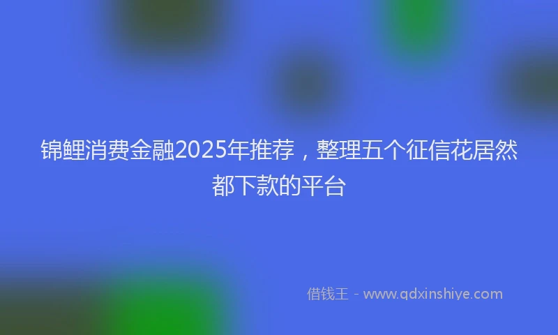 锦鲤消费金融2025年推荐，整理五个征信花居然都下款的平台