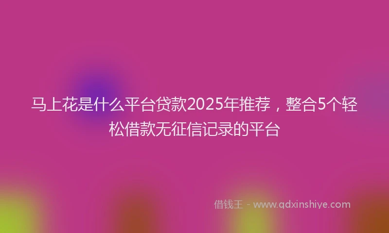 马上花是什么平台贷款2025年推荐，整合5个轻松借款无征信记录的平台