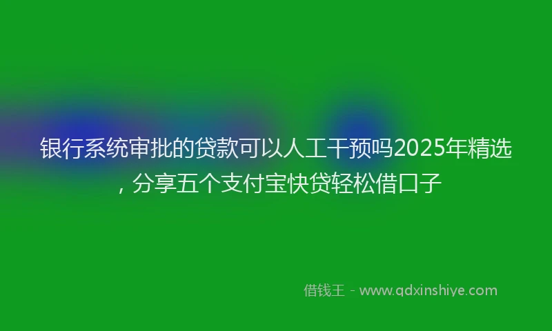 银行系统审批的贷款可以人工干预吗2025年精选，分享五个支付宝快贷轻松借口子