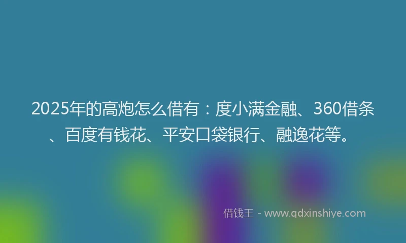 2025年的高炮怎么借有：度小满金融、360借条、百度有钱花、平安口袋银行、融逸花等。