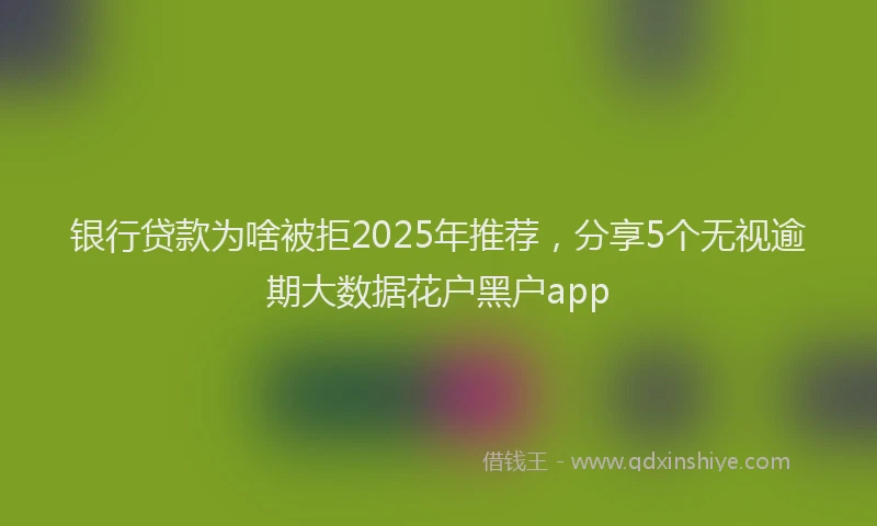 银行贷款为啥被拒2025年推荐，分享5个无视逾期大数据花户黑户app
