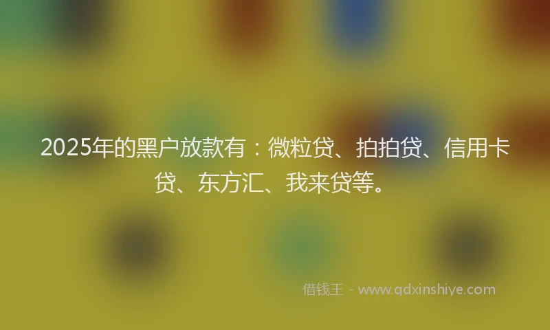 2025年的黑户放款有：微粒贷、拍拍贷、信用卡贷、东方汇、我来贷等。