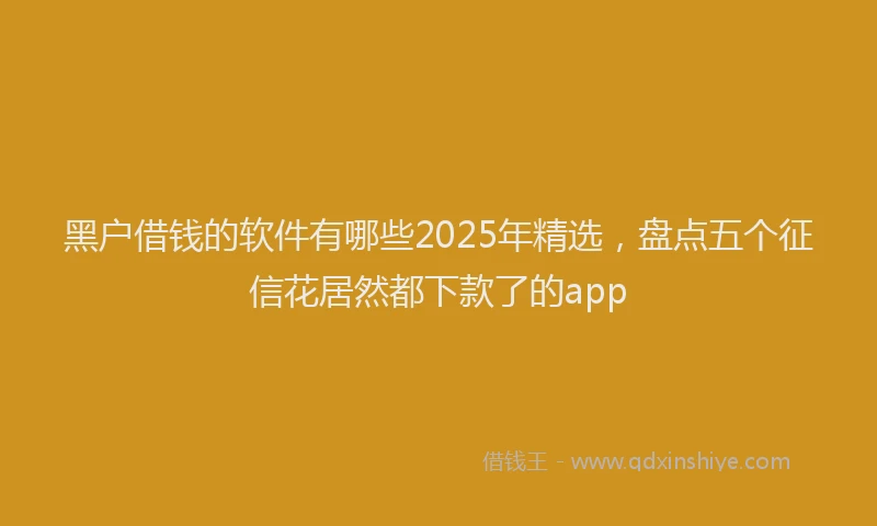 黑户借钱的软件有哪些2025年精选，盘点五个征信花居然都下款了的app