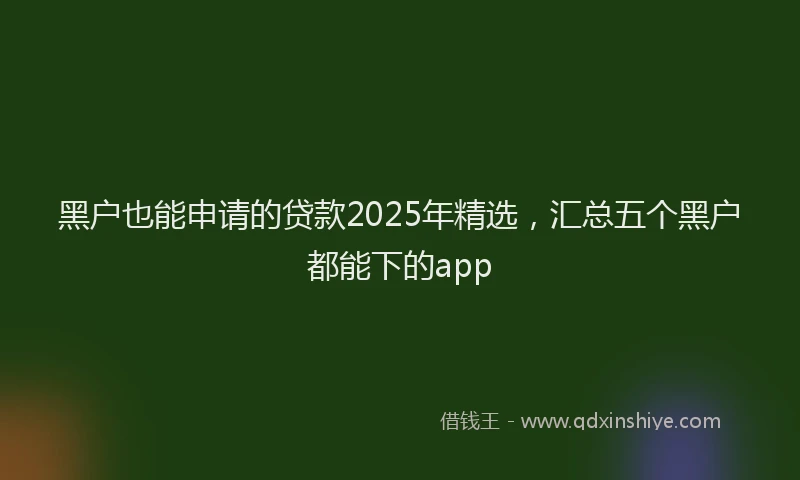 黑户也能申请的贷款2025年精选，汇总五个黑户都能下的app
