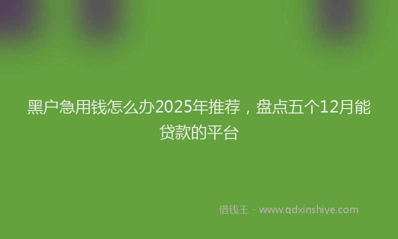 黑户急用钱怎么办2025年推荐，盘点五个12月能贷款的平台