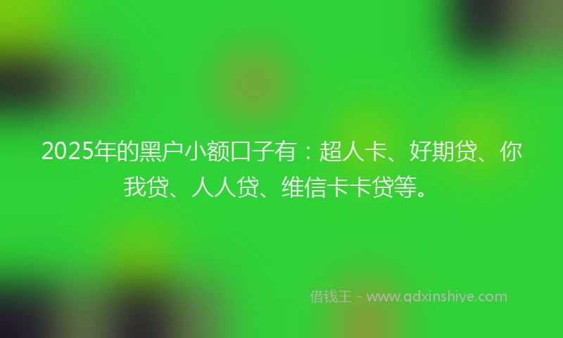 2025年的黑户小额口子有：超人卡、好期贷、你我贷、人人贷、维信卡卡贷等。