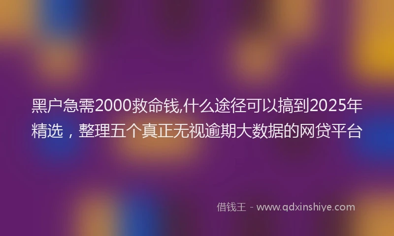 黑户急需2000救命钱,什么途径可以搞到2025年精选，整理五个真正无视逾期大数据的网贷平台