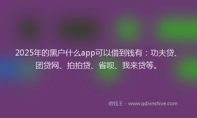 2025年的黑户什么app可以借到钱有：功夫贷、团贷网、拍拍贷、省呗、我来贷等。