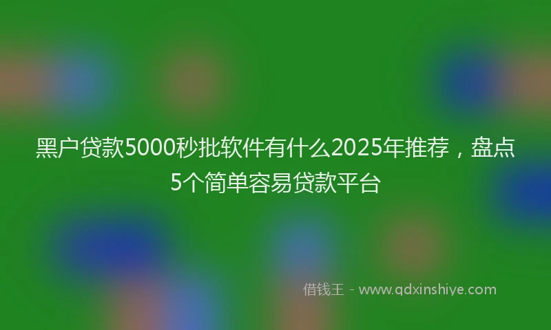 黑户贷款5000秒批软件有什么2025年推荐，盘点5个简单容易贷款平台