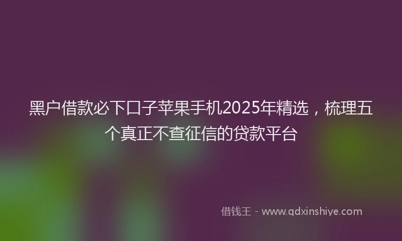 黑户借款必下口子苹果手机2025年精选，梳理五个真正不查征信的贷款平台