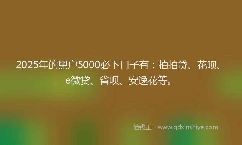 2025年的黑户5000必下口子有：拍拍贷、花呗、e微贷、省呗、安逸花等。