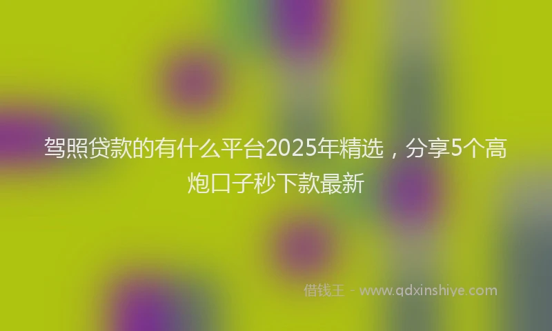 驾照贷款的有什么平台2025年精选，分享5个高炮口子秒下款最新