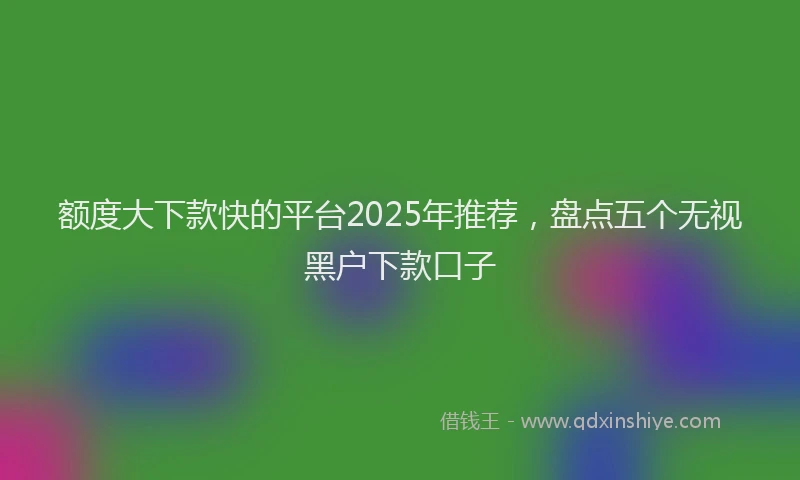 额度大下款快的平台2025年推荐，盘点五个无视黑户下款口子