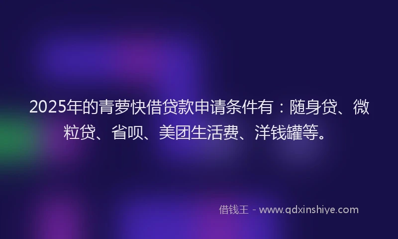 2025年的青萝快借贷款申请条件有：随身贷、微粒贷、省呗、美团生活费、洋钱罐等。