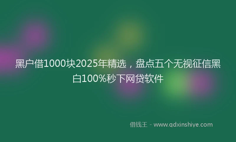 黑户借1000块2025年精选，盘点五个无视征信黑白100%秒下网贷软件