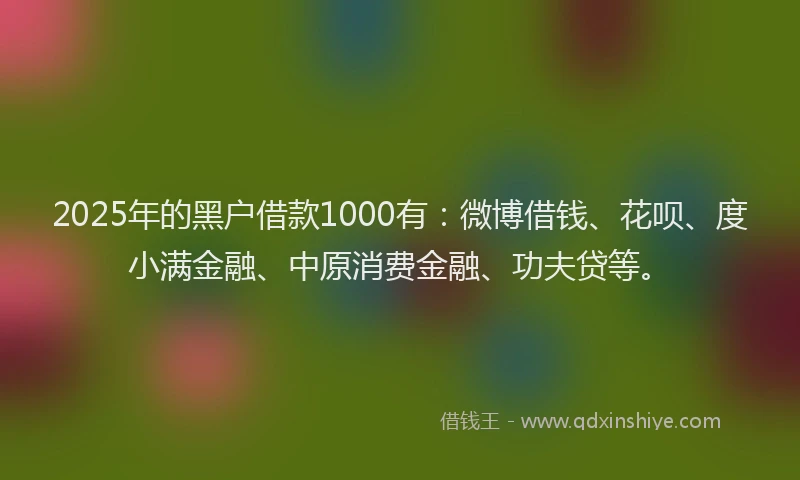 2025年的黑户借款1000有：微博借钱、花呗、度小满金融、中原消费金融、功夫贷等。