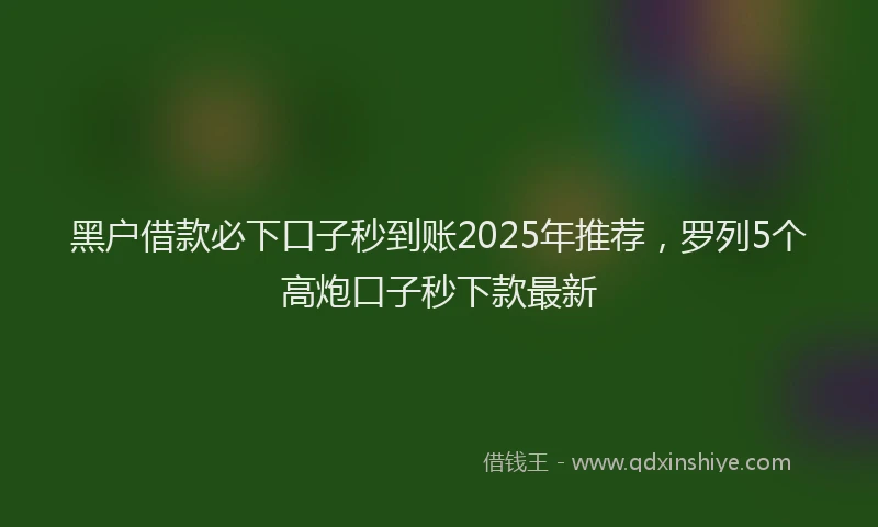 黑户借款必下口子秒到账2025年推荐，罗列5个高炮口子秒下款最新