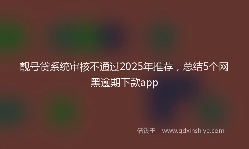 靓号贷系统审核不通过2025年推荐，总结5个网黑逾期下款app