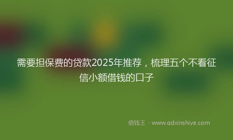 需要担保费的贷款2025年推荐，梳理五个不看征信小额借钱的口子