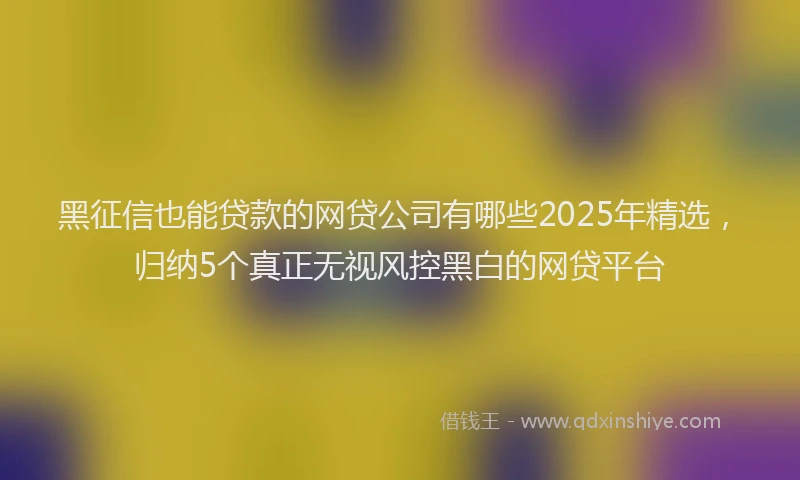黑征信也能贷款的网贷公司有哪些2025年精选，归纳5个真正无视风控黑白的网贷平台