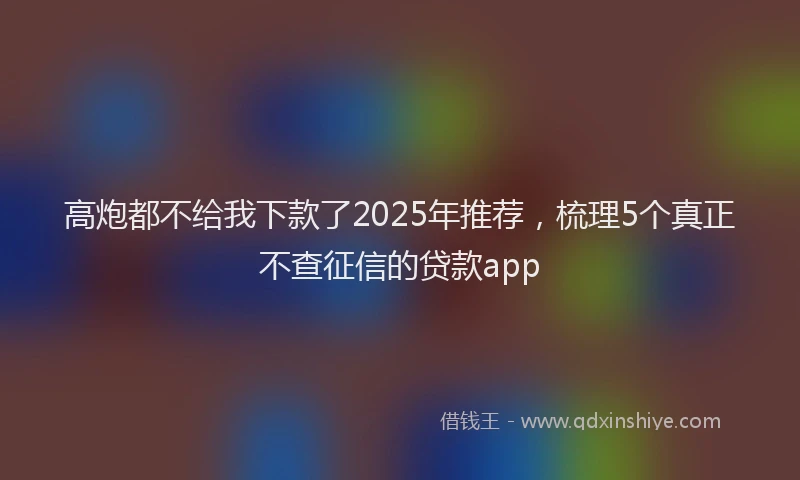 高炮都不给我下款了2025年推荐，梳理5个真正不查征信的贷款app