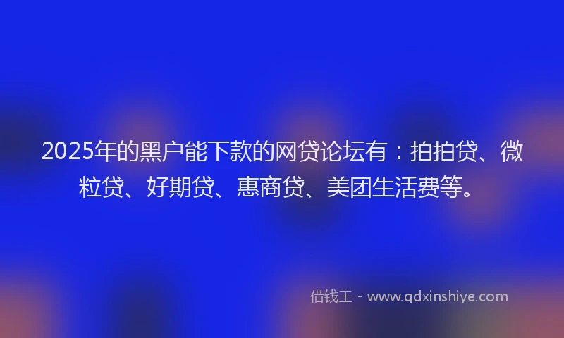 2025年的黑户能下款的网贷论坛有：拍拍贷、微粒贷、好期贷、惠商贷、美团生活费等。