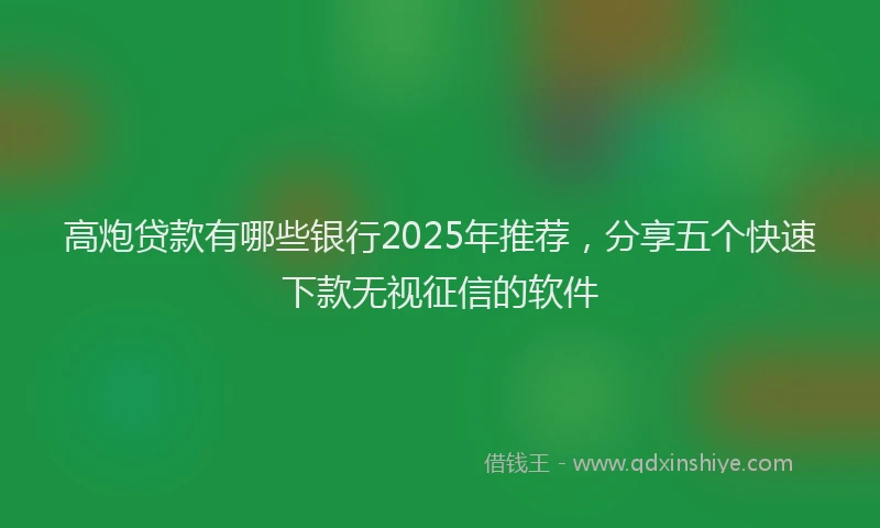 高炮贷款有哪些银行2025年推荐，分享五个快速下款无视征信的软件
