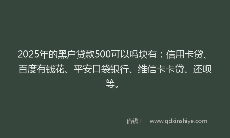2025年的黑户贷款500可以吗块有：信用卡贷、百度有钱花、平安口袋银行、维信卡卡贷、还呗等。