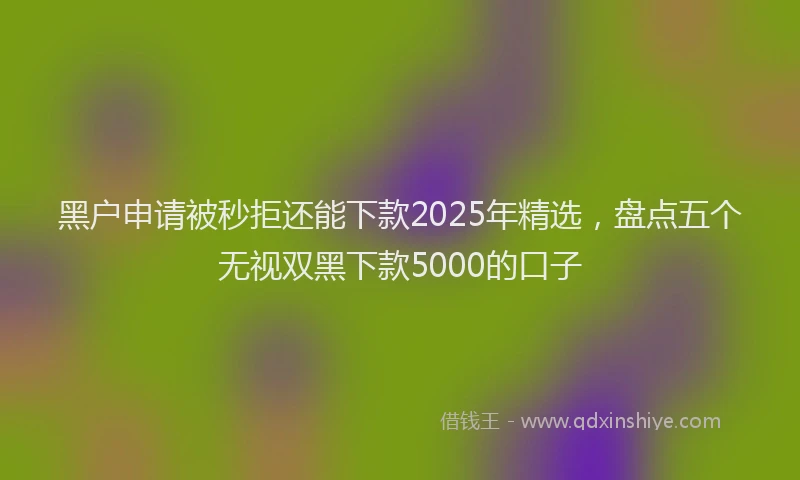 黑户申请被秒拒还能下款2025年精选，盘点五个无视双黑下款5000的口子