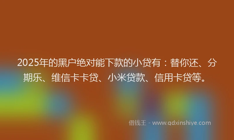 2025年的黑户绝对能下款的小贷有：替你还、分期乐、维信卡卡贷、小米贷款、信用卡贷等。