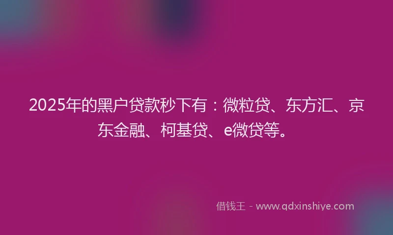 2025年的黑户贷款秒下有：微粒贷、东方汇、京东金融、柯基贷、e微贷等。